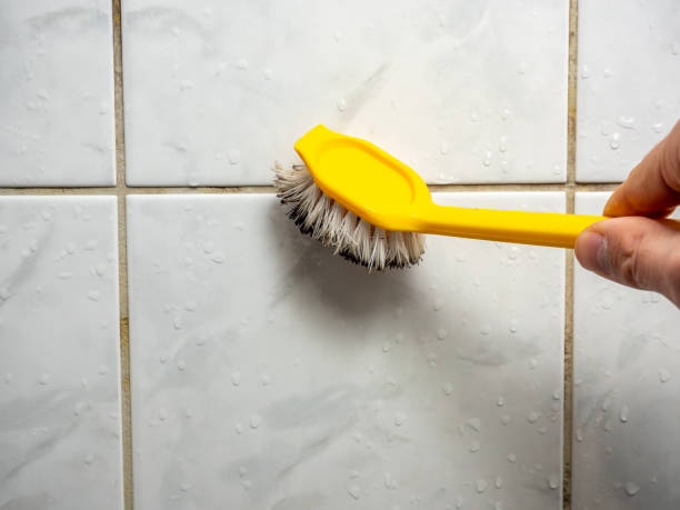 Best Mold Damage Repair  in Mantachie, MS